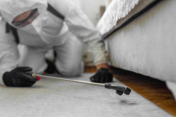 Professional Cockroach Control technician working in Warren, MI