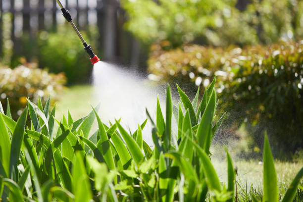 24/7 Emergency Cockroach Control experts in Warren, MI